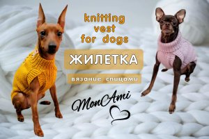 Жилетка для собак и кошек