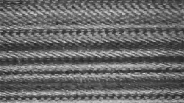 Прикольные животные! Смешное видео про животных! Новая подборка!