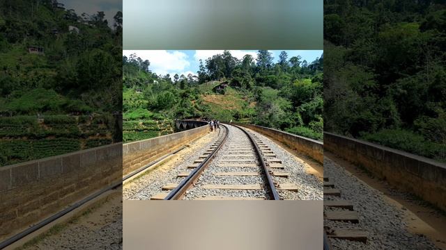 28. ШРИ ЛАНКА. ЭЛЛА. ДЕВЯТИАРОЧНЫЙ МОСТ, ДЕМОДАРА. смотреть онлайн