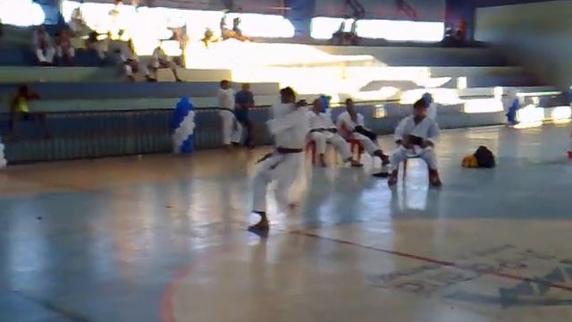 Kata Empi, KARATE SHOTOKAN, Academia Tai Ki Shin, Sensei Airton Lima,CACOAL/RO смотреть онлайн