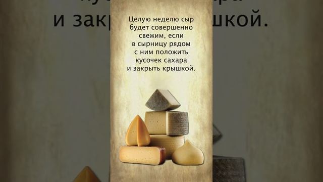 Как хранить сыр смотреть онлайн