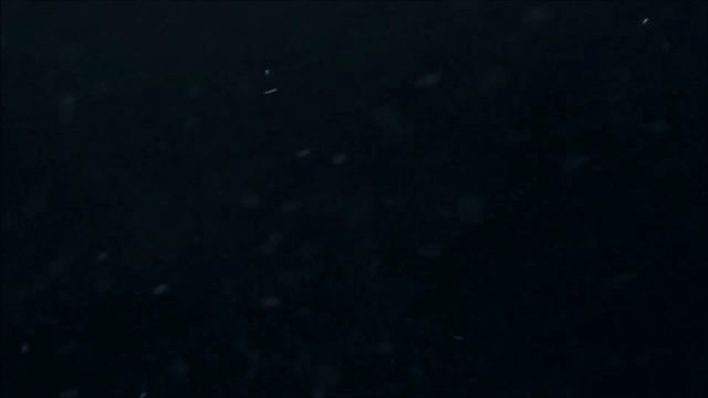 ?????? ???? ????????? ▰ ???? ????? ²⁰¹⁹ смотреть онлайн