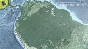 САМАЯ ГРОМКАЯ ПТИЦА В МИРЕ - Одноусый звонарь она издаёт звук от которого лопаются перепонки- 125 д