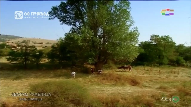 Zbogum Rumelija 001 смотреть онлайн