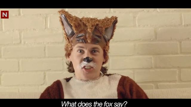 Что говорит лиса? What does the fox say? Что же она говорит по настоящему? смотреть онлайн