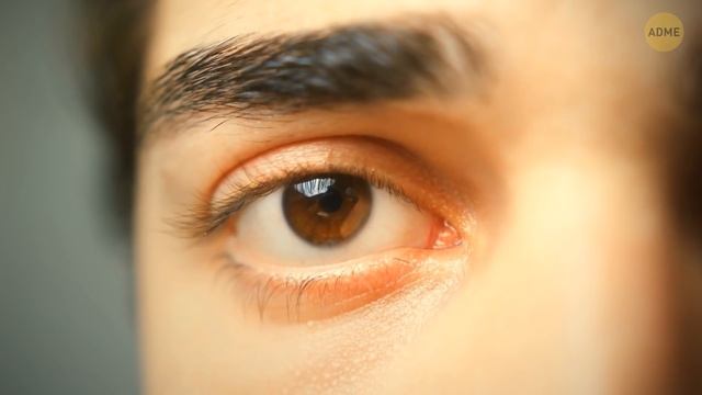 30+ интересных фактов о теле, о которых знают даже не все учителя! смотреть онлайн