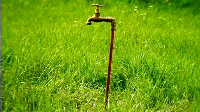 Жизнь насекомых. Часть 4-2 смотреть онлайн