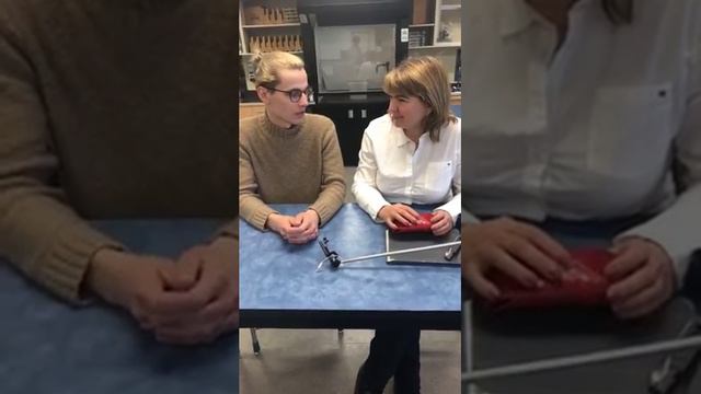 Навчання в Канаді. Школа Louis Riel (Вінніпег, Манітоба). смотреть онлайн