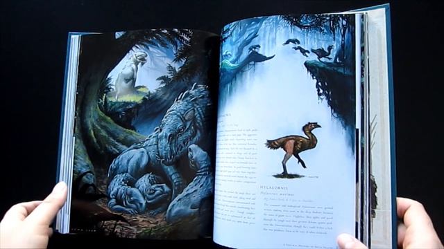 The World of Kong: A Natural History of Skull Island | Book Review смотреть онлайн