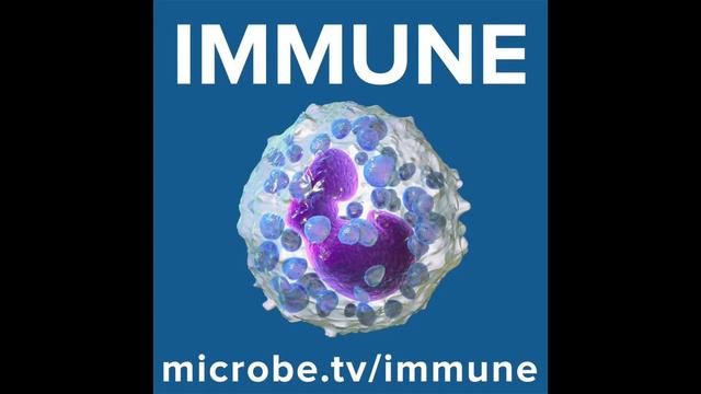 Immune 022: Engineering B cells смотреть онлайн