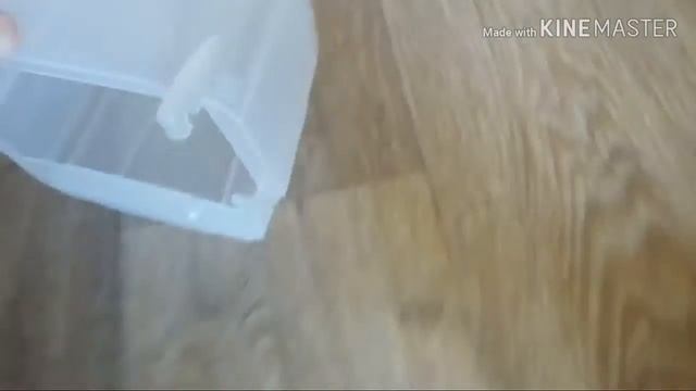 Как правильно ухаживать за волнистым попугаем смотреть онлайн