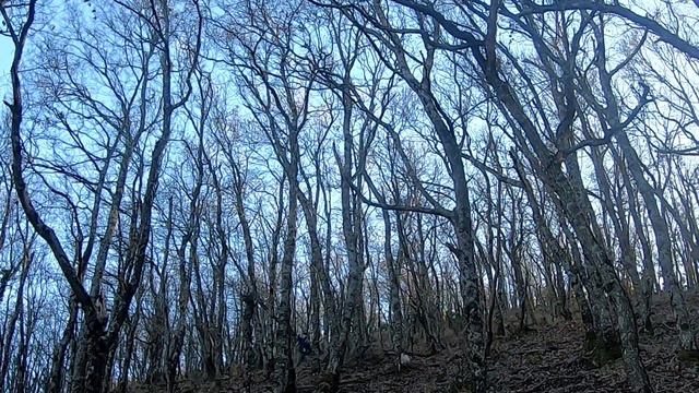 Κυνήγι μπεκάτσας 2022-2023... 21 смотреть онлайн