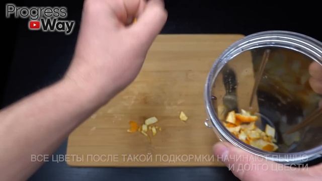 Зацвел за Ночь! Все в бутонах, пышное цветение обеспечено! смотреть онлайн