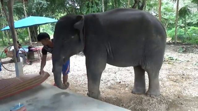 Тайланд .о. Пхукет. Экскурсии обзорная и Као Лак смотреть онлайн