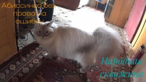 Бурение абиссинской скважины в Шаховском районе Без права на ошибку