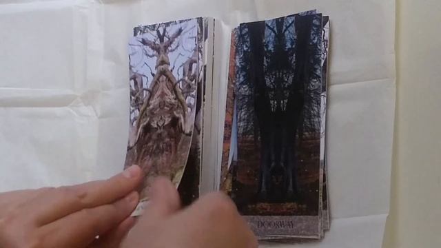Woodland Hag's Tree Whispers oracle is finally here смотреть онлайн