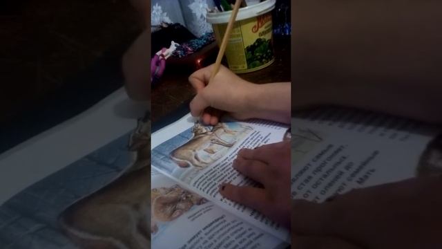 Как скопировать рисунок с книжки на бумагу? смотреть онлайн