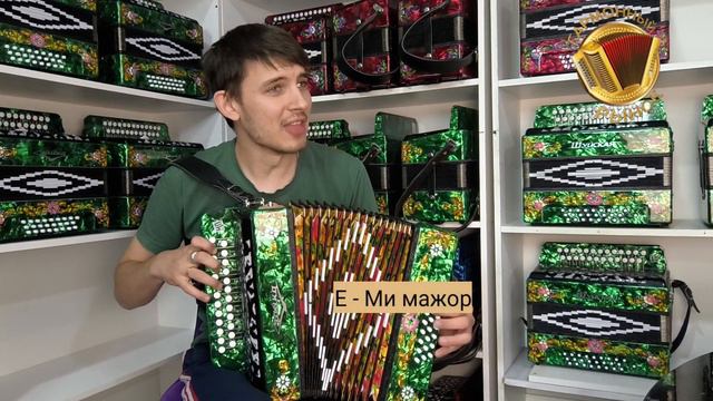 Всего ПЯТЬ аккордов и у тебя в репертуаре плюс 5 песен Сектора Газа под гармонь! смотреть онлайн