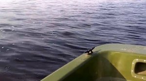 Пластиковая лодка Антал Кайман 300, лодочный мотор Sea-Pro 2,5