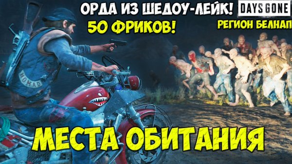 Орда из Шедоу-Лейк(Shadow Lake Horde). 50 Фриков. Белнап. Места обитания. #daysgone #horde #shadow #