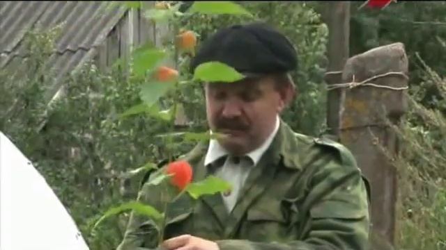Физалис смотреть онлайн