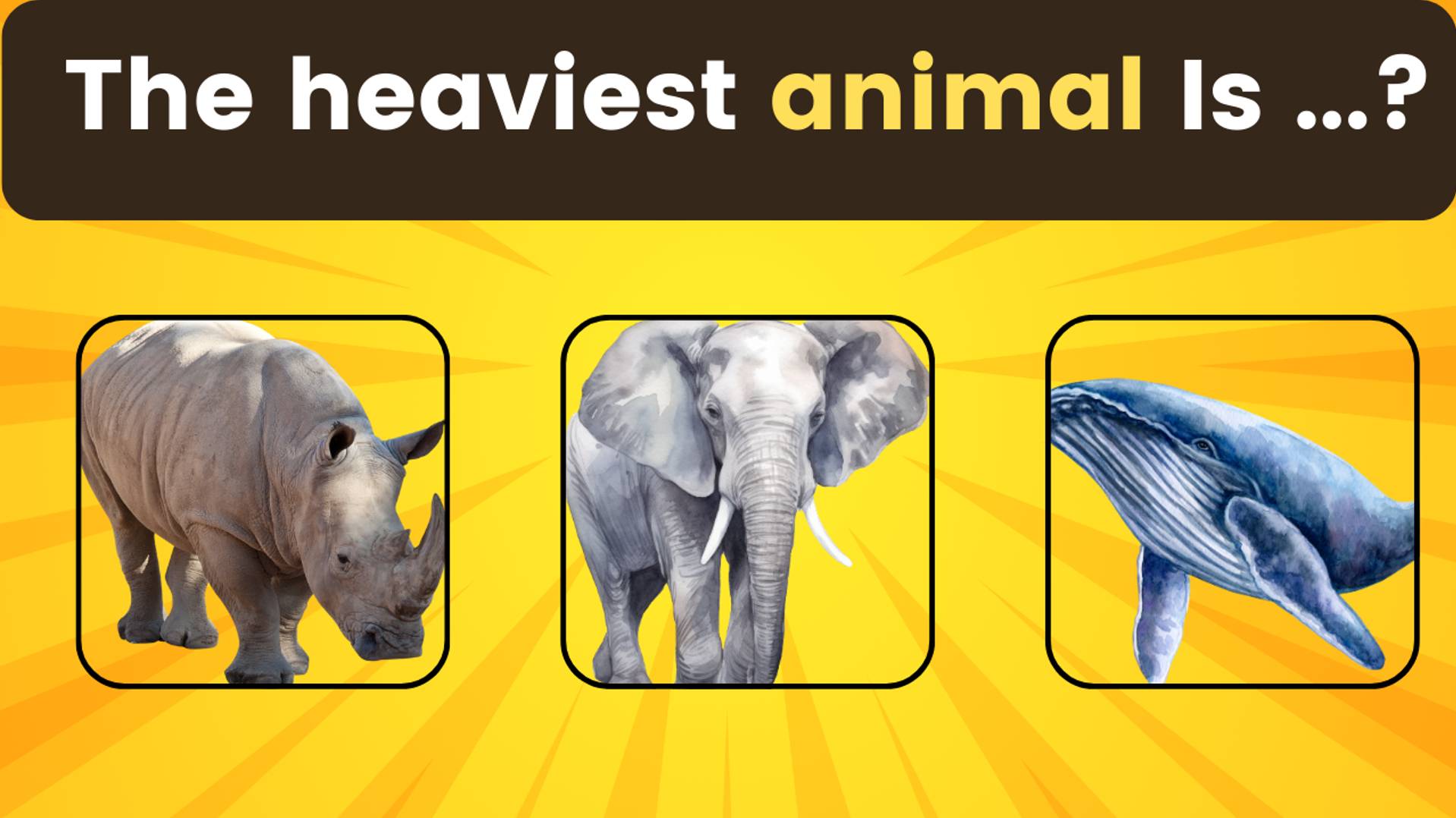 🧠 Проверьте свои знания о животных! 🦁🐍✅ 50 редких и удивительных вопросов о животных 🌍 смотреть онлайн