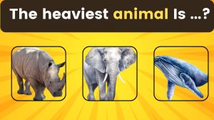 🧠 Проверьте свои знания о животных! 🦁🐍✅ 50 редких и удивительных вопросов о животных 🌍