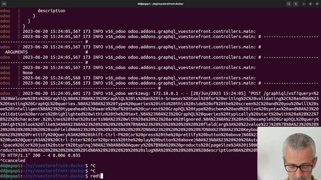 Getting Started with VueStorefront - Setting up your development environment. смотреть онлайн