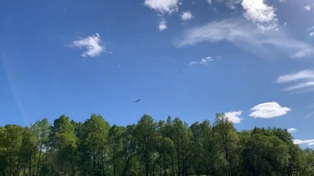 Государственный Лермонтовский музей-заповедник Тарханы - 2023 смотреть онлайн