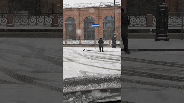 Ворона и добрый человек.mp4