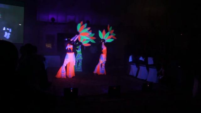 Шоу стихий Lumiere Shadow световое шоу алматы (uv lightshow show almaty) смотреть онлайн