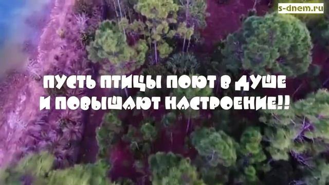 Пожелания хорошего дня. Видео открытка 2020. Красивое видео. смотреть онлайн