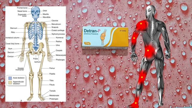 Detran P Tablet Uses In Urdu / Detran P Tablet Side Effects
