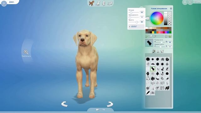 СИМС 4 КОШКИ И СОБАКИ: полный обзор в CAS ? смотреть онлайн