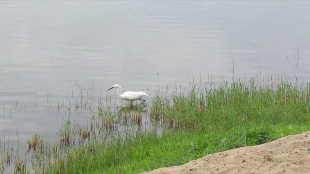 11.06.23г. На городском пляже.