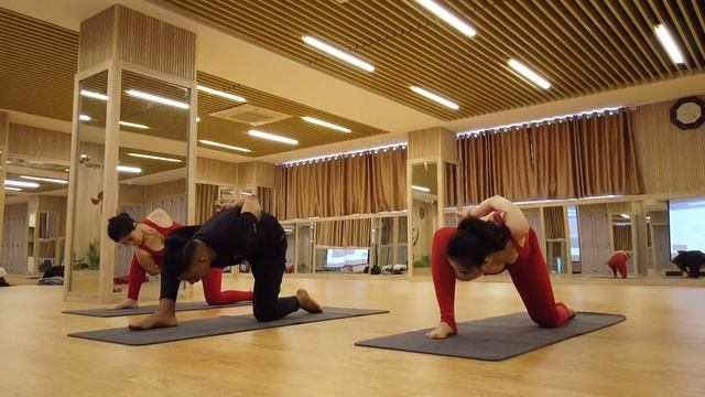 50 Minutes Yoga At Home For Beginner Based On Backbend And Hip Opening | Yoga Vietnam | Yograja