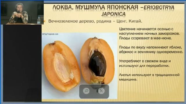 Онлайн трансляция Русского музея 18 июня смотреть онлайн