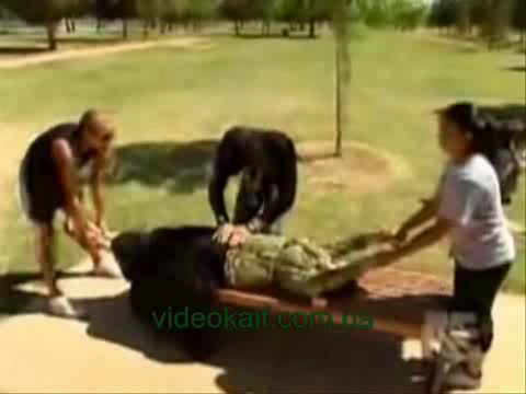 Слабонервным не смотреть! Девушку разорвали!