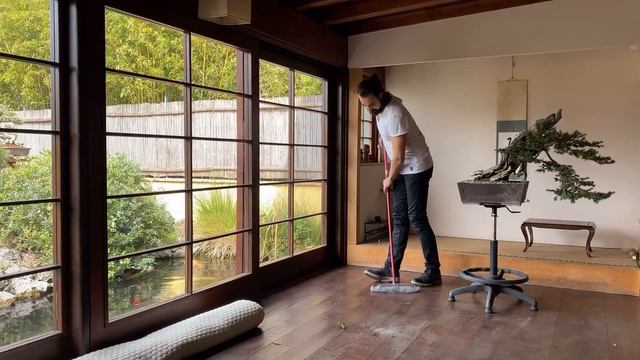 Taxus Baccata. Bonsai restyling смотреть онлайн