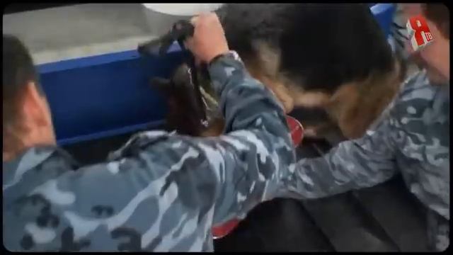 Экскурсия в аэропорт Шереметьево 2 смотреть онлайн