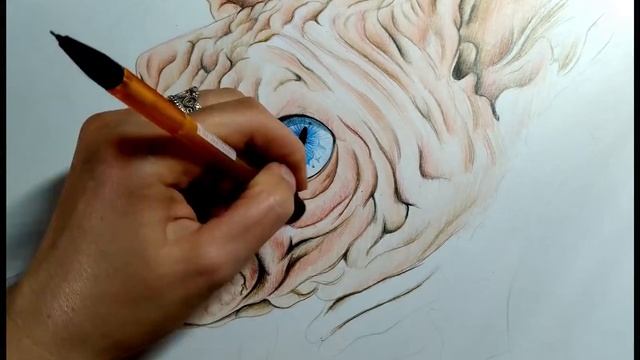 Рисуем цветными карандашами кота сфинкса смотреть онлайн