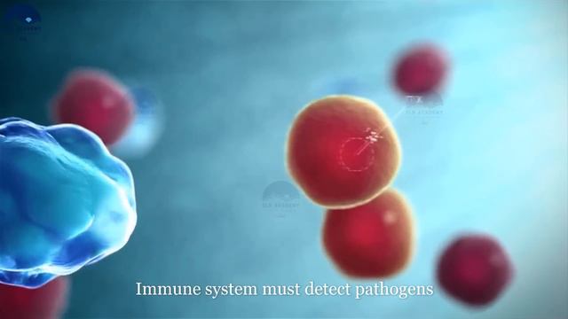 Human Organ Systems Part 1 - 3D Animation - 11 major organ systems of the human body Explained смотреть онлайн