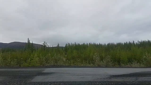 Вот и лето пришло на север смотреть онлайн