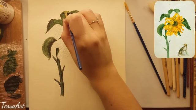 "Ботаника для художника" обзор книги + рисуем подсолнух (sub) "Botany for the artist" смотреть онлайн