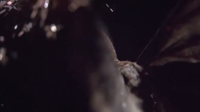 Stive Morgan - Soul Sparks смотреть онлайн