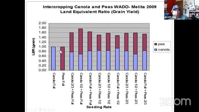 Рапс полная норма и горох 1/2 от нормы высева ? Бинарный посев (укр/eng) смотреть онлайн