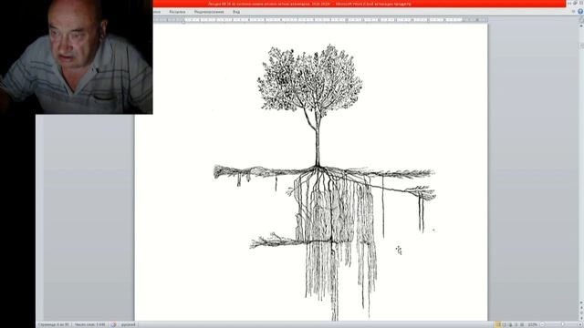 38 ч 02 Деревья насосы перекачивающие воду смотреть онлайн