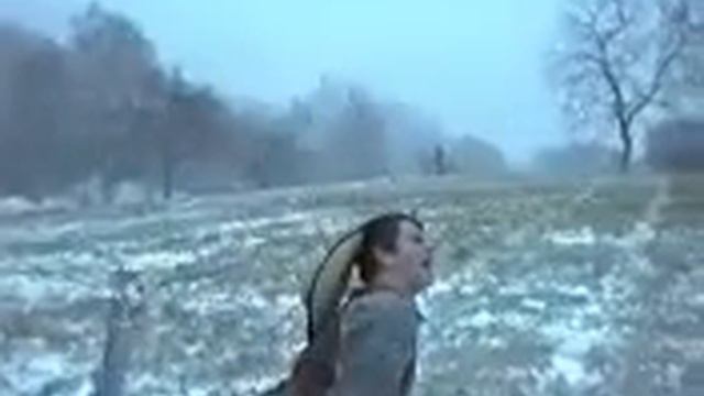 Musikvideo Maschendrahtzaun "The Real" смотреть онлайн