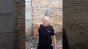 мопс гребень