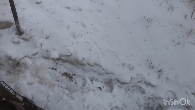 Металлокоп!Коп с металлоискателем!Закрываем сезон! смотреть онлайн